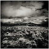 Montagne de la Plate - Paysages