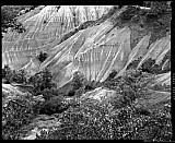 Le Ravin de Corboeuf - Paysages