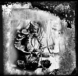 Homme-plante 1 - Songes