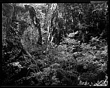 Le Repaire - Paysages